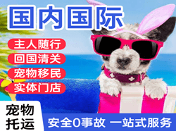 阿里昆莎机场快递国际宠物托运 【国