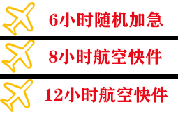 阿里昆莎机场快递快递公司,专业空运当天件